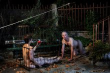 &quot;Le banc&quot; une série du photographe Pierre Leblanc, photo intitulée &quot;Amor&quot;.