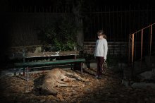 &quot;Le banc&quot; une série du photographe Pierre Leblanc, photo intitulée &quot;Des printemps sans hirondelles&quot;.